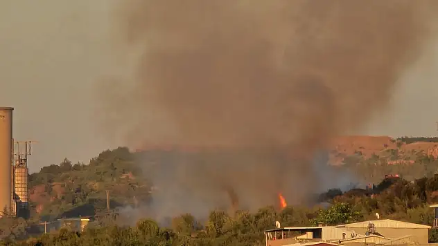 Bursa'da üst üste orman yangınları
