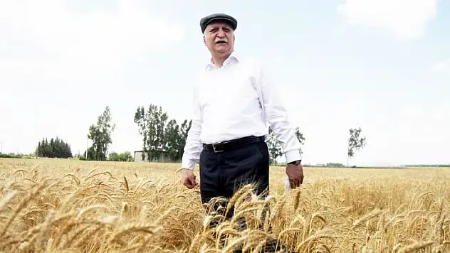 -Hububatta Çiftçi-Tüccar-Sanayici Zinciri Koptu