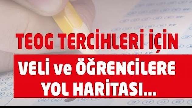 TEOG Tercihini Nasıl Yapmalıyım