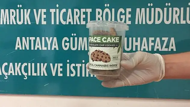 Esrarlı Bisküvi Narkotik Dedektör Köpekten Kaçamadı