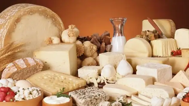 Süt ve Süt Ürünleri Üretimi