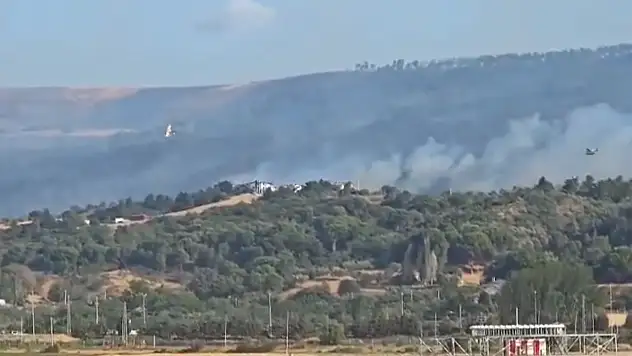 Çanakkale'de orman yangını devam ediyor: 785 kişi tahliye edildi