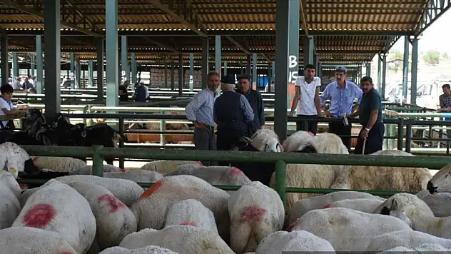 Canlı hayvan pazarında arife günü yoğunluğu yaşanıyor