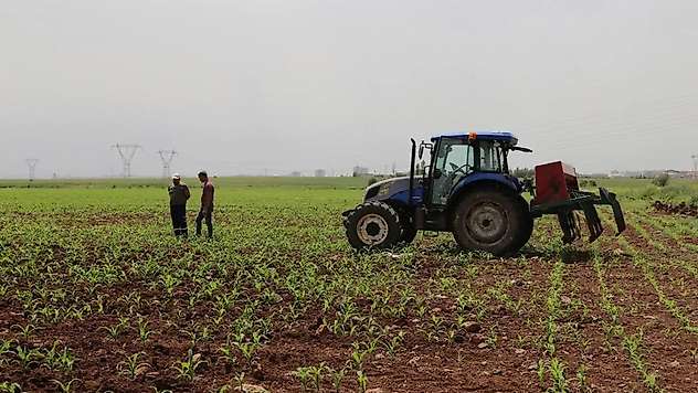 Çiftçilere 17,4 milyar liralık destek ödemesi