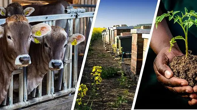 Çiftçilere 72,5 Milyon Liralık Tarımsal Destekleme Ödemesi Yapıldı