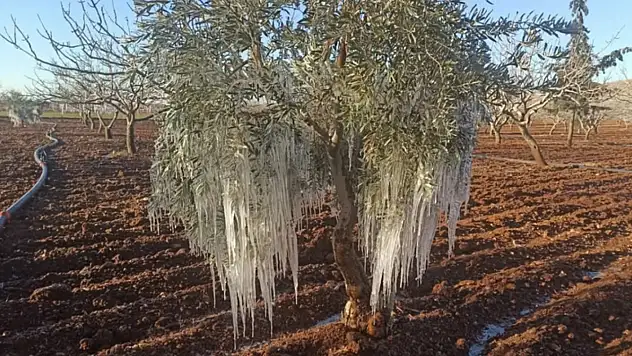 Çiftçilere zirai don uyarısı