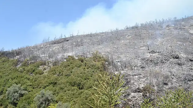 ÇMO Bursa Şube Başkanı Şen: Çevre bilinci alışkanlık değil, yaşam biçimi olmalı