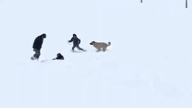 Çocuklar ve Sevimli Misafirden Kar Eğlencesi