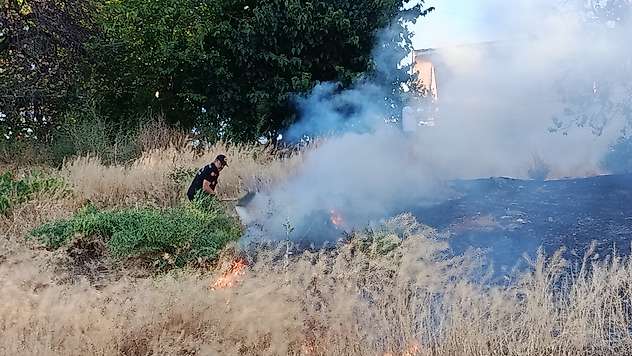Darende'de Ot Yangını: Kayısı Bahçesi Zarar Gördü
