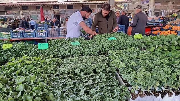 Darende'de Sebze Fiyatları Vatandaşı Üretime Yöneltti
