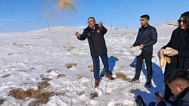 Darende'de Yaban Hayvanları İçin Kış Seferberliği