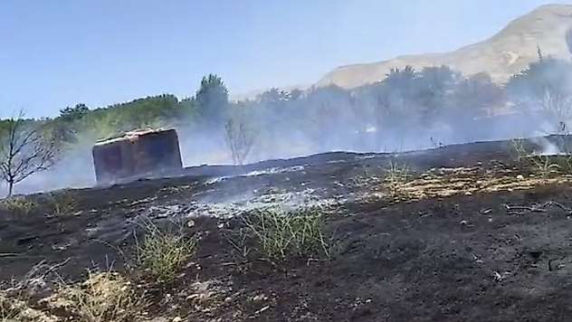 Darende'de Yangın Paniği: Bahçeler Zarar Gördü