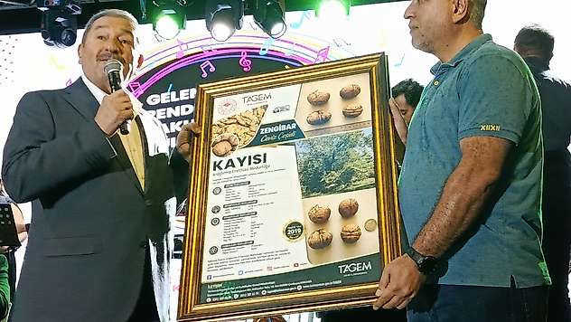 Darende'nin Tescilli Zengibar Cevizi Dünya Standartlarına Meydan Okuyor