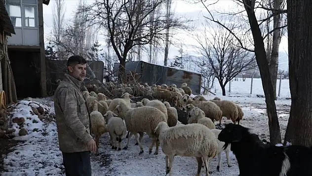 Depremzede besiciler devlet desteğiyle üretime devam ediyor