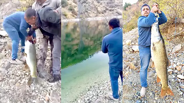 Dev Balık Doğanyol'da Oltaya Takıldı: 32,7 Kiloluk Sürpriz