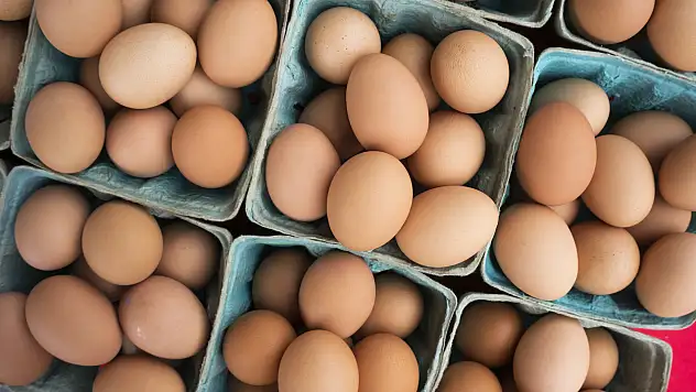 DFİF kesintisi kalktı, yumurta ihracatçısı rahatladı
