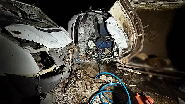 Diyarbakır'da kaza: 2 kişi öldü 14 hayvan telef oldu