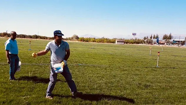 Doğal Çim Belediye Bütçesine ciddi anlamda tasarruf sağladı