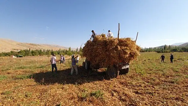Doğanşehir fasulyesi Esenlik Süpermarketler'de