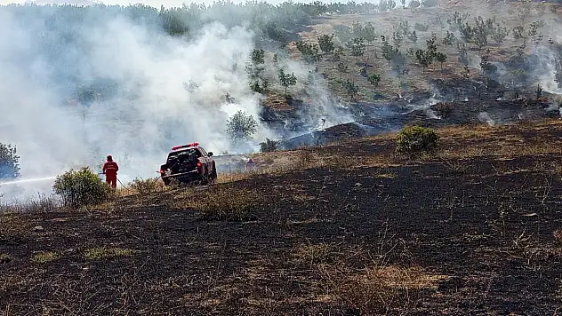Doğanyol'da  orman yangını