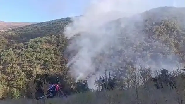 Doğanyol'daki orman yangını kontrol altına alındı