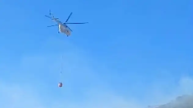 Doğanyol'daki orman yangını kontrol altına alındı