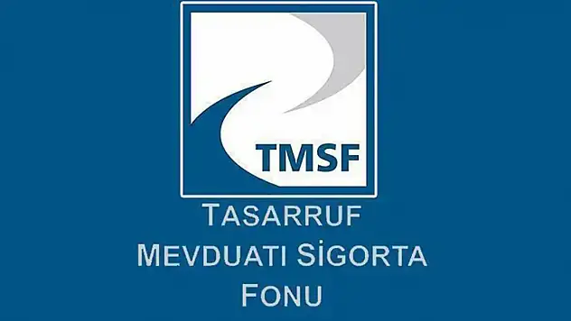 Dolandırıcılık ve Kara Para Aklama İddiaları: Can Holding 121 Şirketle TMSF'de