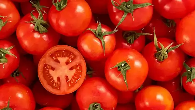 Domateslerin Çürümesini Önlemek İçin Yöntemler