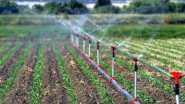 DSİ'den tarıma 12 milyar liralık katkı: 72 bin hektardan fazla arazi sulamaya açıldı