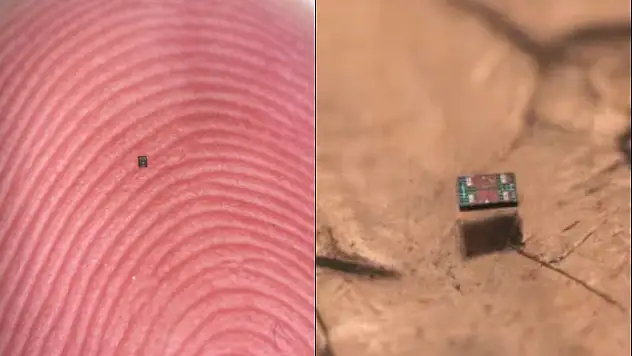 Dünyanın En Küçük Otonom Robotu Geliştirildi