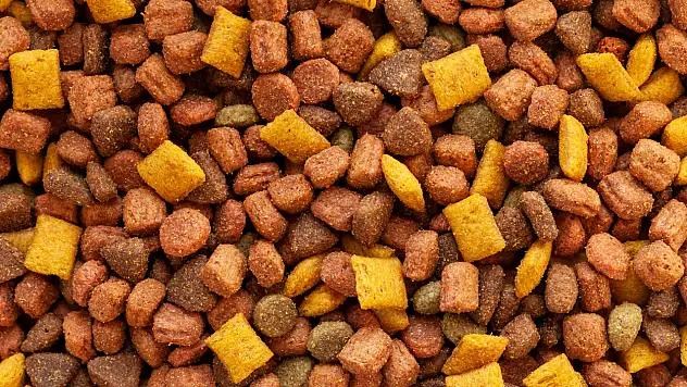 Ege Hububat ve Bakliyat Sektörü İhracatta Hedefe Koşuyor: 2025 Sonu 1,1 Milyar Dolar