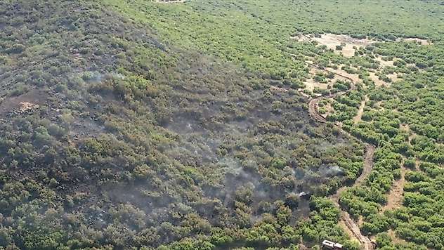 Elazığ'da ormanlık alanda çıkan yangın kontrol altına alındı