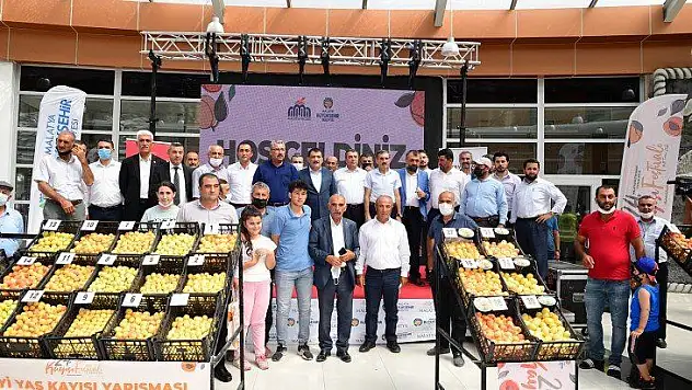 En İyi Yaş Kayısılar Doğanşehir Ve Darende İlçelerinden