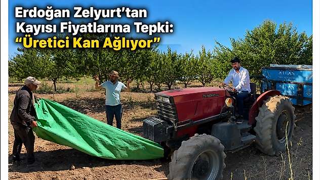 Erdoğan Zelyurt'tan Kayısı Fiyatlarına Tepki: 'Üretici Kan Ağlıyor'