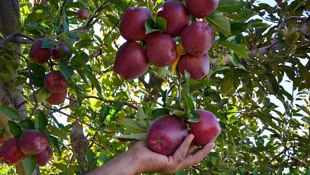 Esenlik'ten Yerel Üreticilere Tam Destek