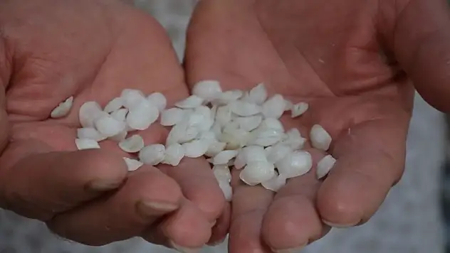 Eşkina Balığı Taşı Mucizesi mi, Yoksa Halk Arasında Yaygın Bir Efsane mi?