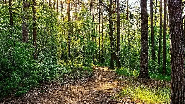 Gaziantep'te ormanlık alanlara girişler yasaklandı