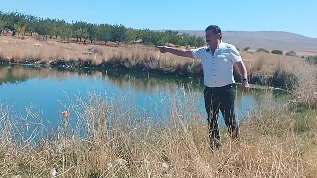 Gölet Değil, Tehlike! Yeniköy'de Açık Fosseptik Kabusu