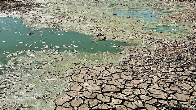 Gölet kurudu, balıklar telef oldu
