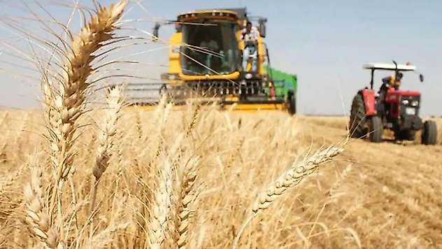 Güneydoğu'nun hububat sektörü ihracatı 8 ayda 2,5 milyar dolara ulaştı