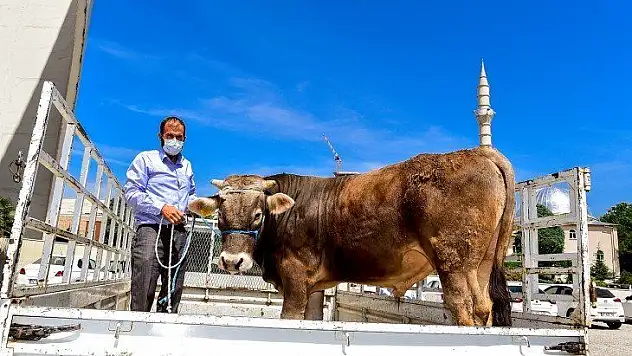 Gürkan: Kampanyaya Verilen Desteklerin En Güzellerinden Biri Malatya'da Yaşandı