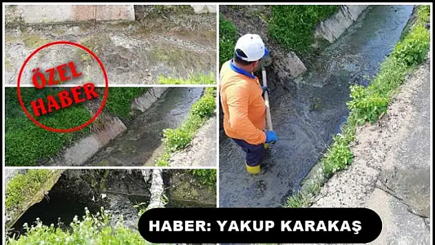 Hastalık Kol Geziyor