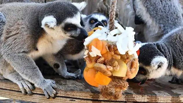 Sıcak.. çok sıcak..