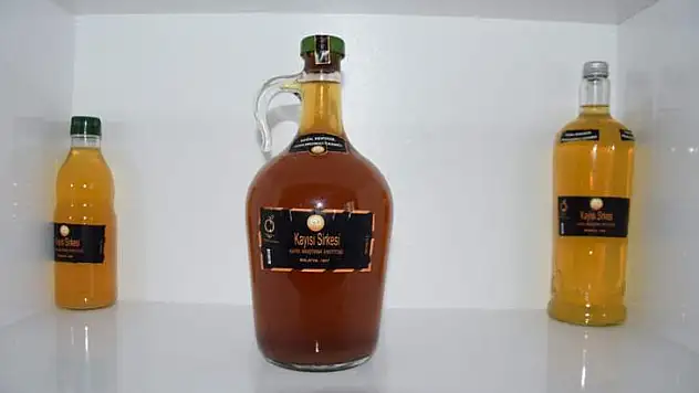 Vali Aydın Baruş Kayısı Araştırma Enstitüsünü Ziyaret Etti