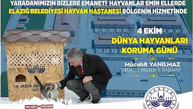 Merhamet Ve Şefkat Elimizle Küçük Dostlarımızı Yalnız Bırakmayacağız
