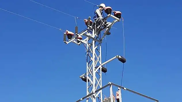 Fırat Edaş İle Kuşlar Bölgede Özgürce Uçuyor