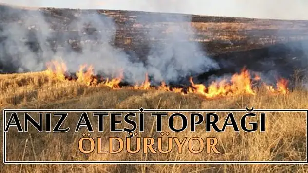 Anızın ateşi toprağı öldürüyor