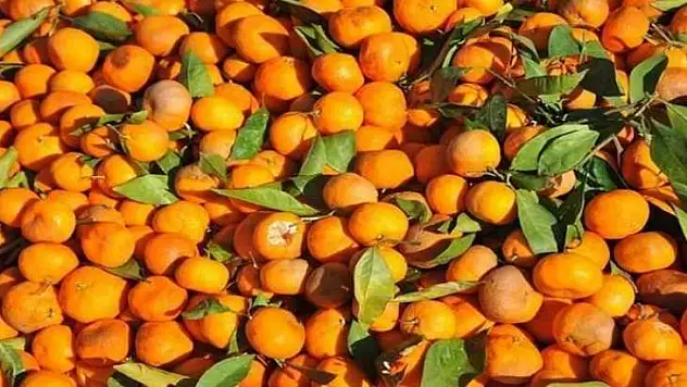 Kışın Hasta Olmamak için ...