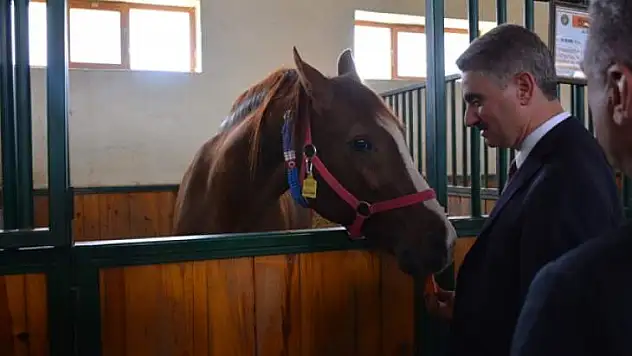 Vali Baruş, Sultansuyu TİGEM'de İncelemelerde Bulundu