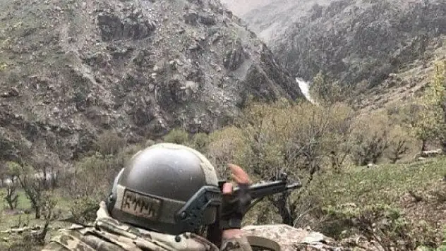 Hakkari Merkez İlçe Kırsalında 2 Terörist Etkisiz Hale Getirildi